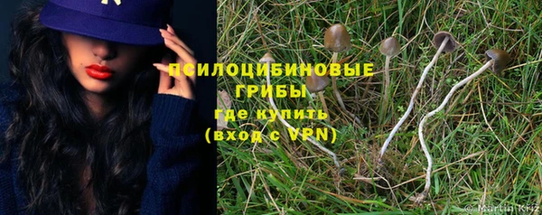 тгк Богданович