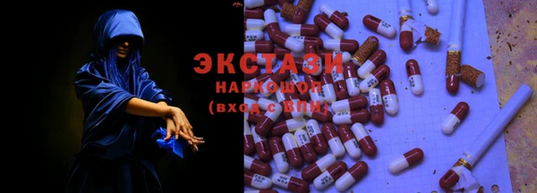 молекула духа Богородицк