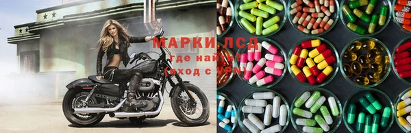 спайс Беломорск