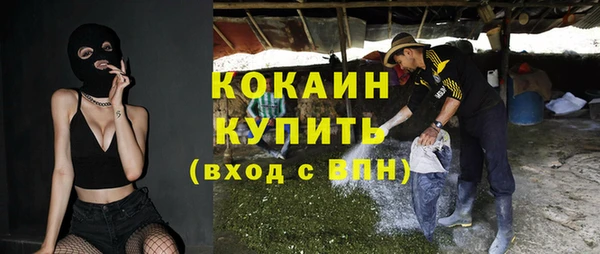 тгк Богданович